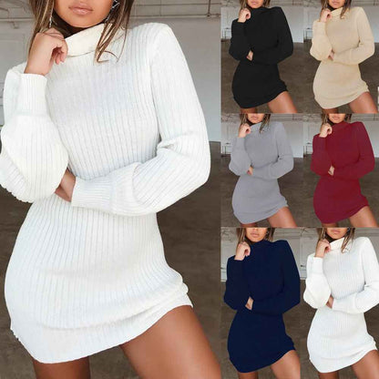 Céleste Robe Col Roulé Ajustée