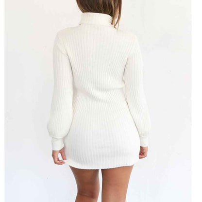 Céleste Robe Col Roulé Ajustée